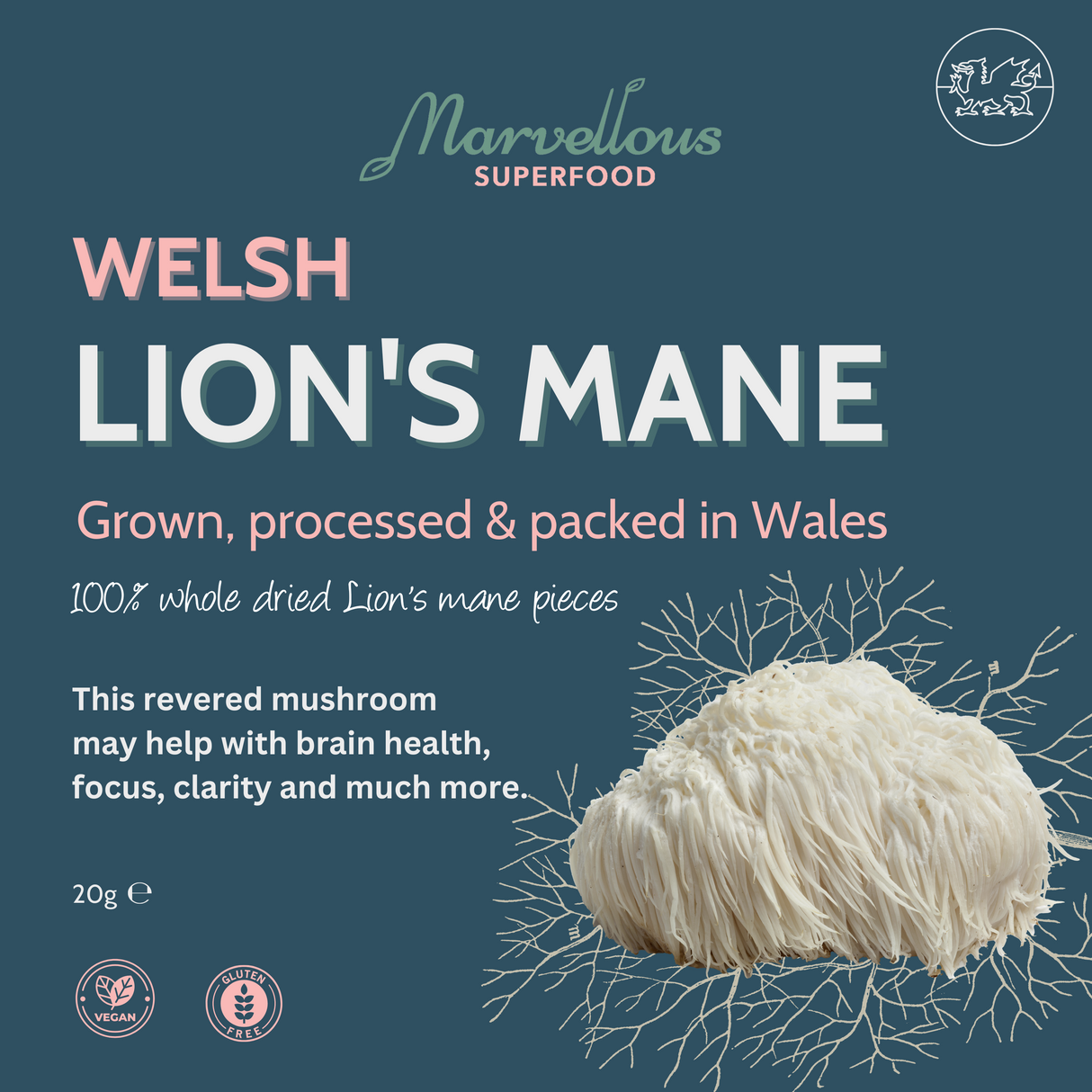 Welsh lions mane mushroom.