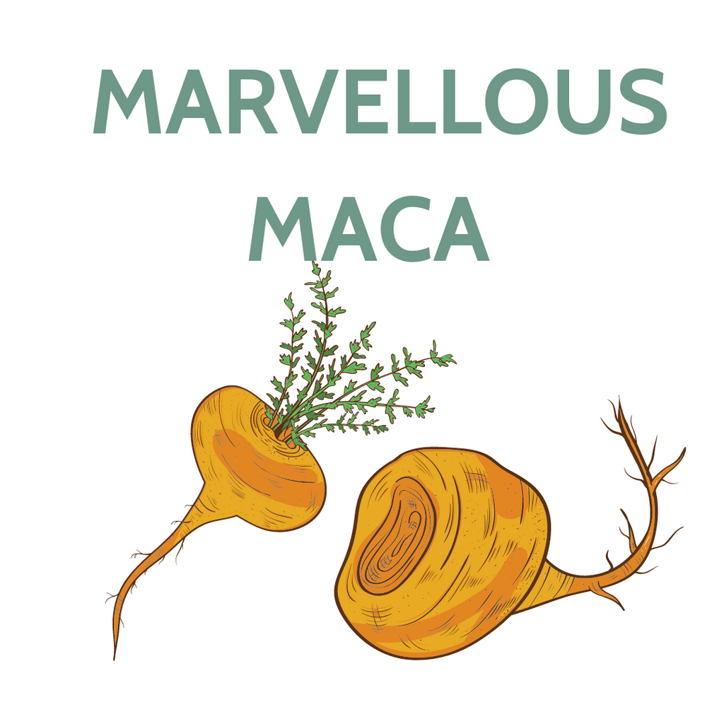 The new Maca on the block - from individual powders to a 4 root blend.