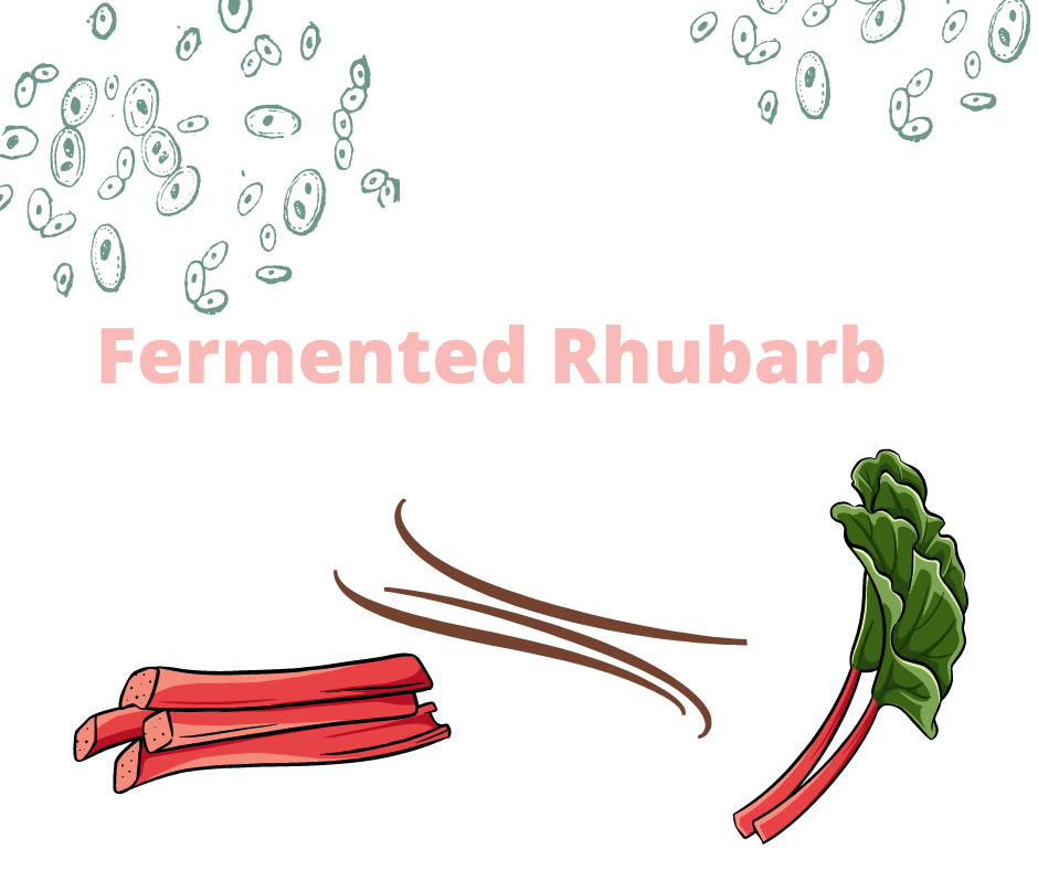 Fermented Rhubarb recipe