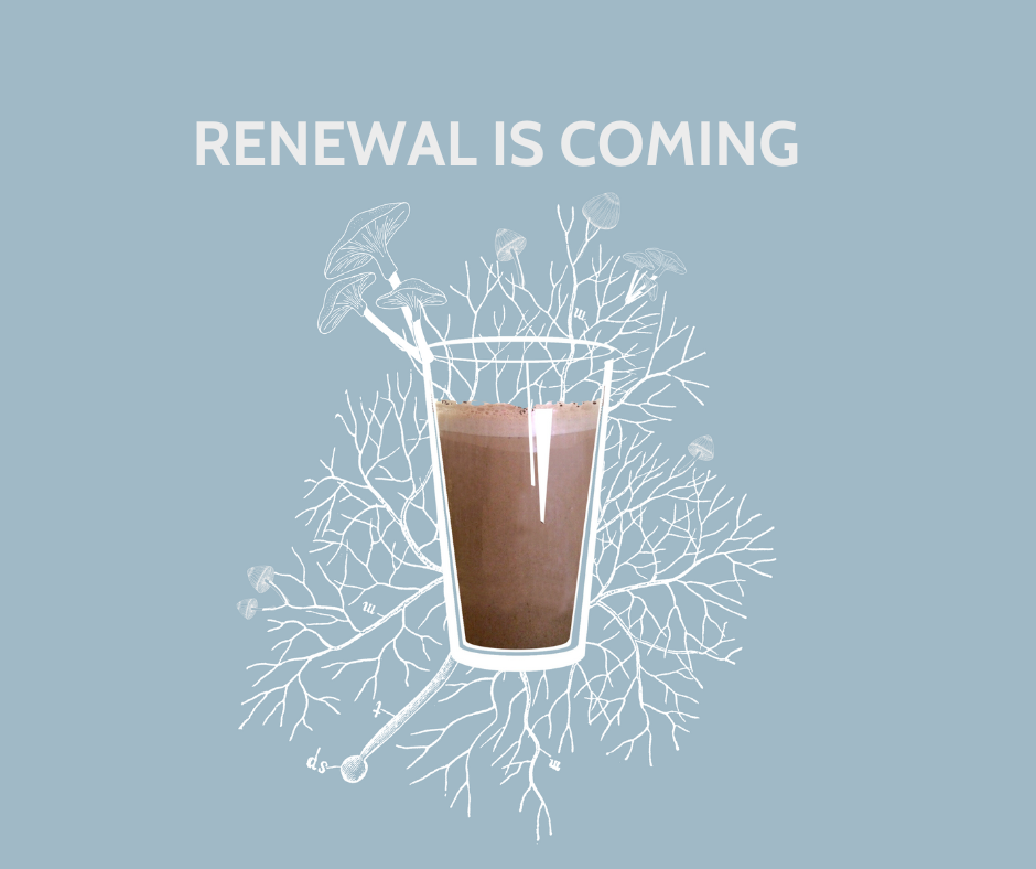 RENEWAL IS COMING - 23-08-23