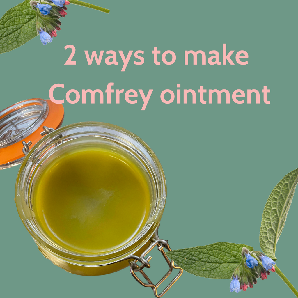 2 ways to make Comfrey ointment.